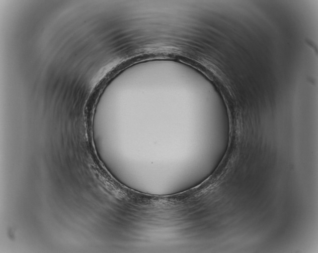 X0000100751022200807101658