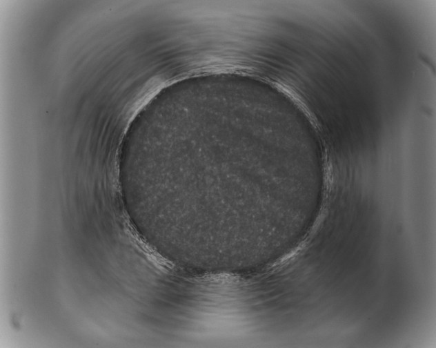 X0000100751023200807101658