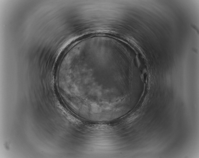 X0000100751024200807101658