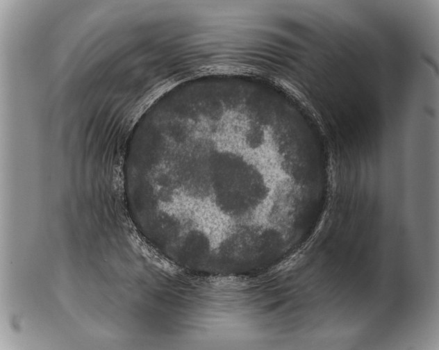 X0000100751025200807101658