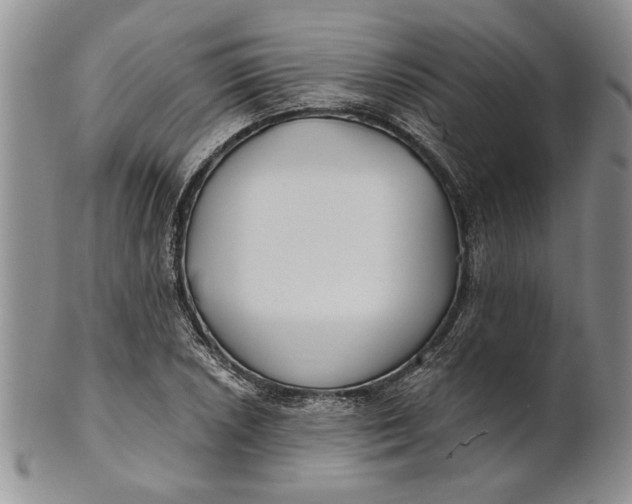 X0000100751026200807101658