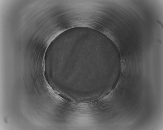 X0000100751028200807101658