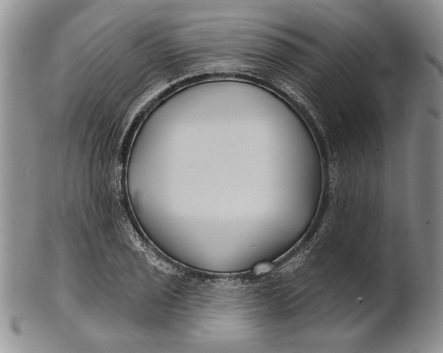 X0000100751029200807101658