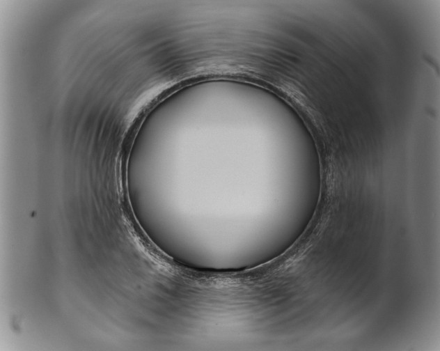 X0000100751030200807101658