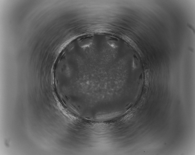 X0000100751031200807101658