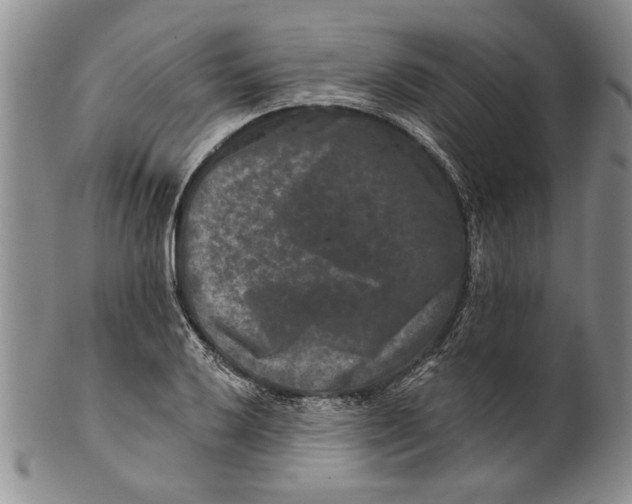 X0000100751032200807101658