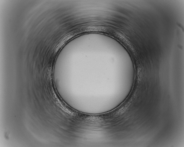 X0000100751033200807101658