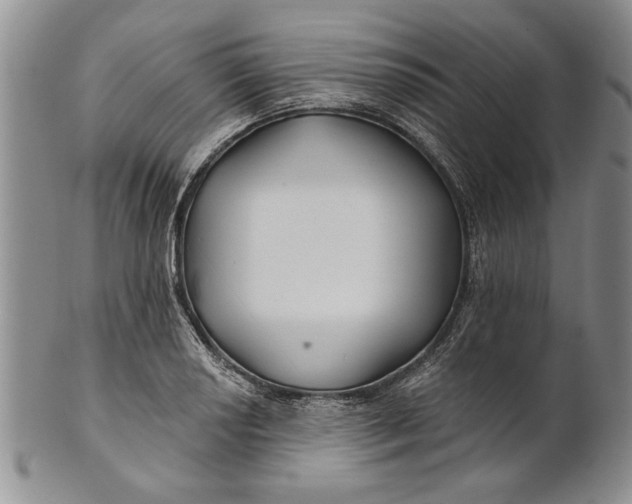 X0000100751034200807101658