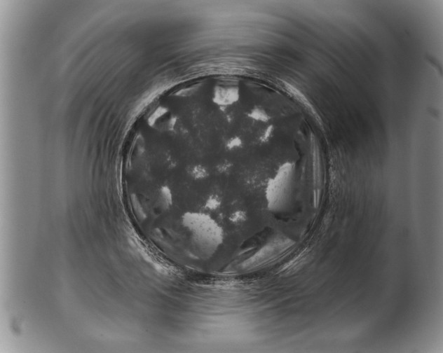 X0000100751035200807101658