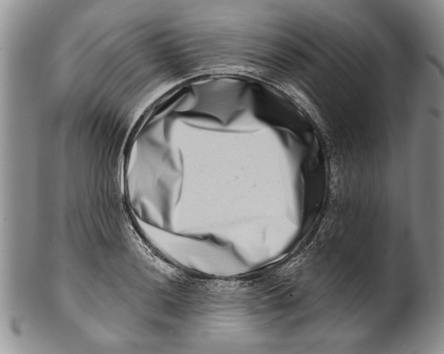 X0000100751036200807101658