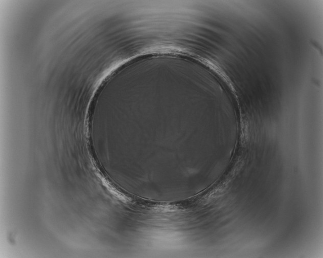 X0000100751037200807101658