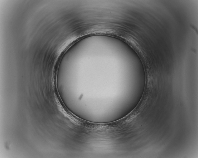 X0000100751038200807101658