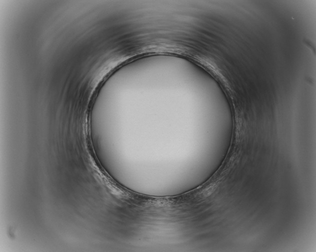 X0000100751040200807101658