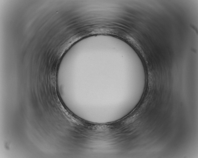 X0000100751041200807101658