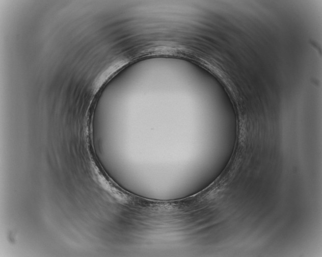 X0000100751042200807101658