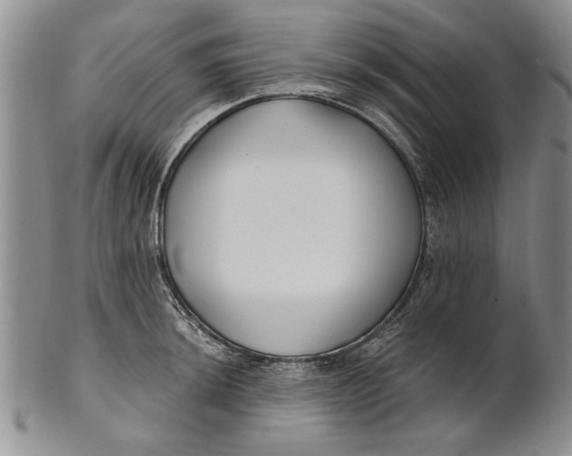 X0000100751044200807101658