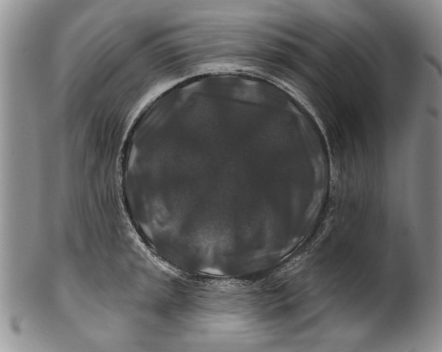 X0000100751045200807101658