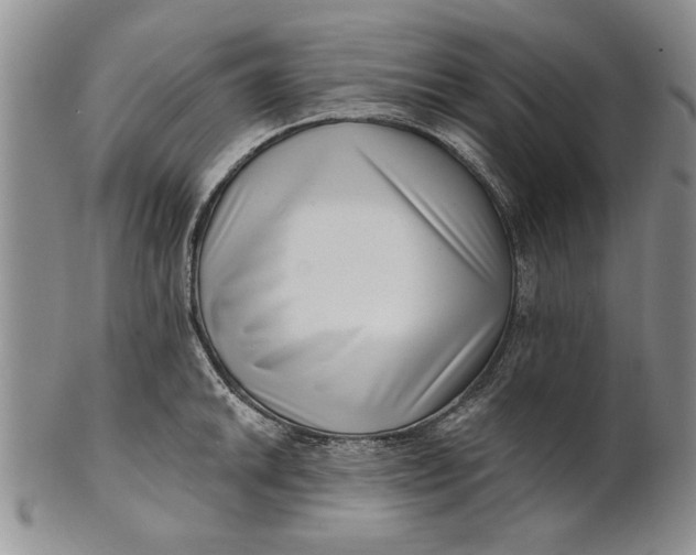 X0000100751046200807101658