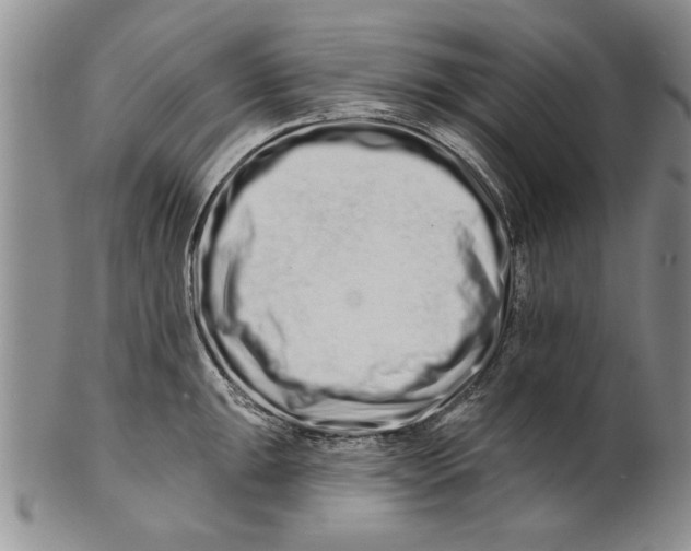 X0000100751047200807101658