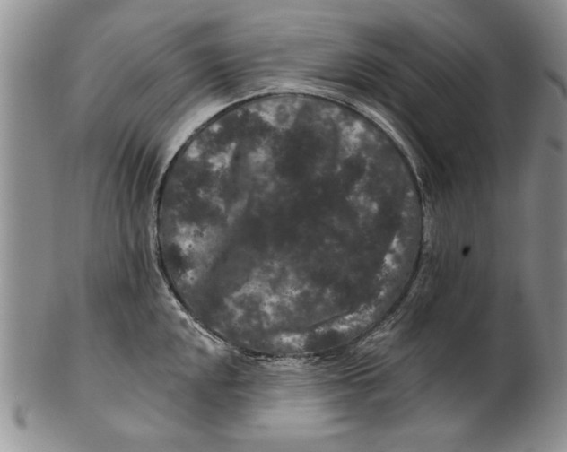 X0000100751048200807101658