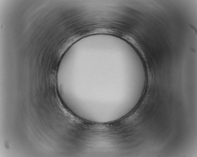 X0000100751049200807101658