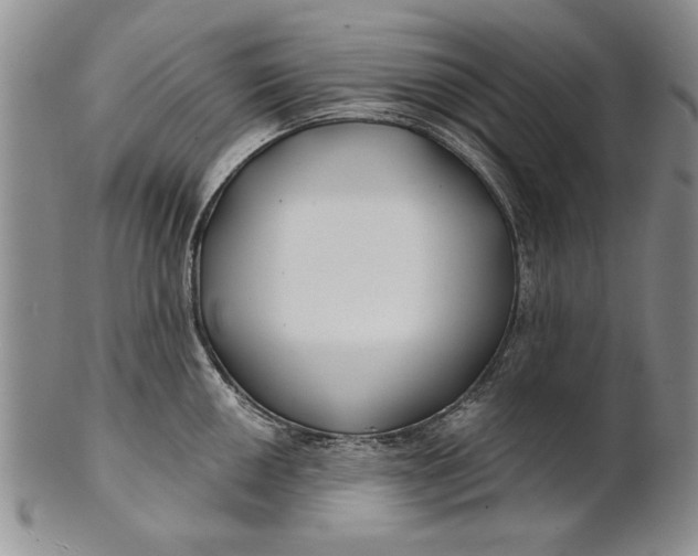 X0000100751050200807101658