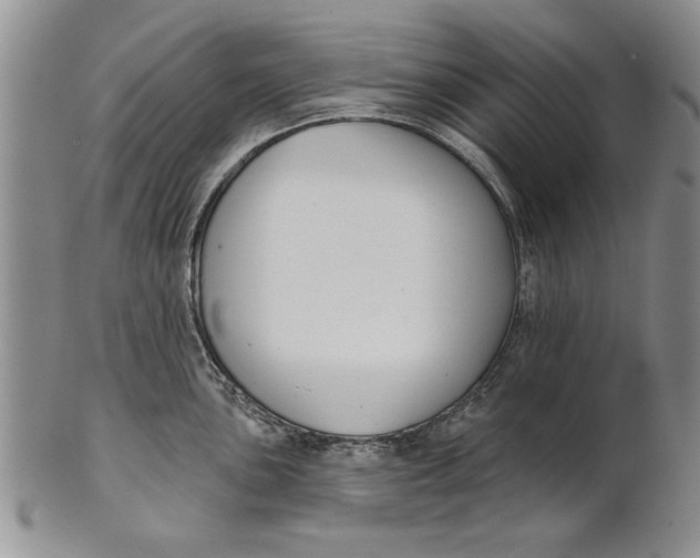 X0000100751051200807101658