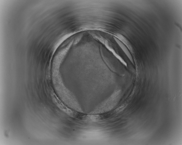 X0000100751052200807101658