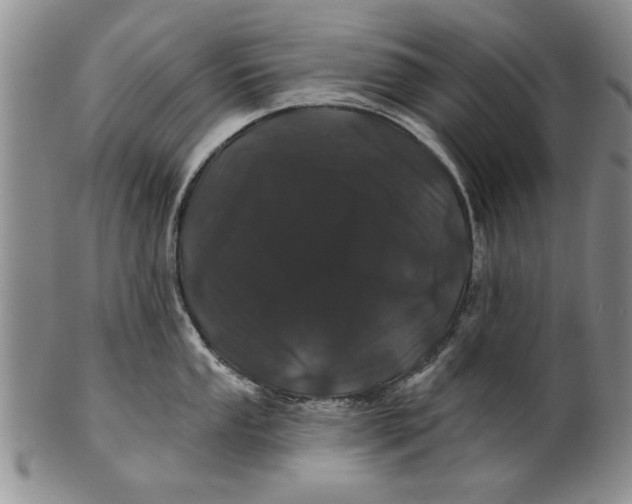 X0000100751053200807101658