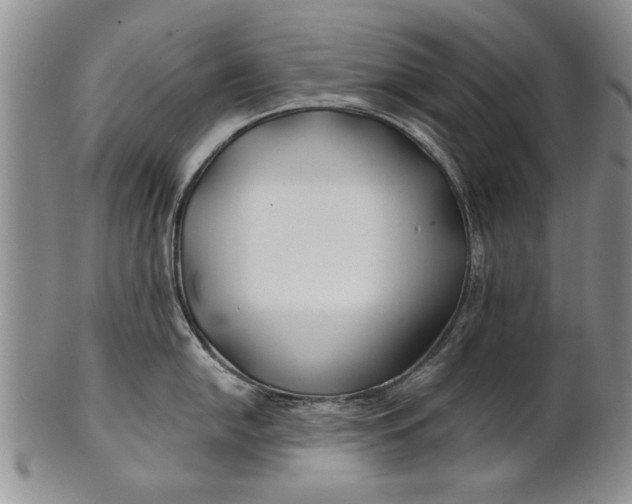 X0000100751054200807101658