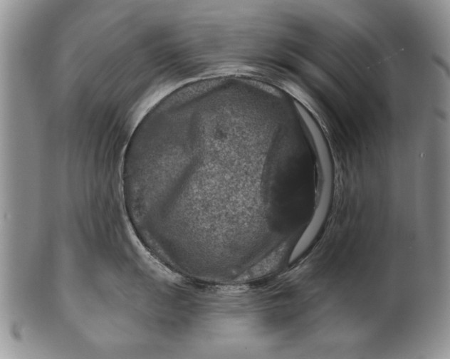 X0000100751055200807101658