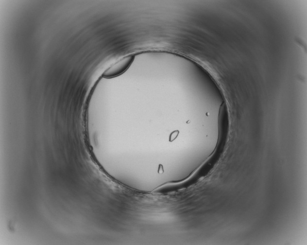 X0000100751056200807101658