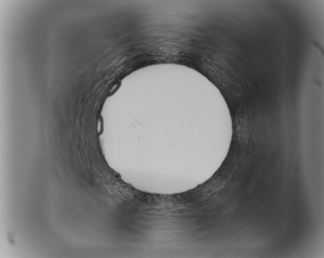 X0000100751057200807101658