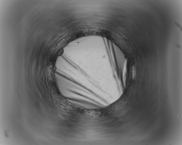 X0000100751059200807101658