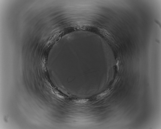 X0000100751060200807101658