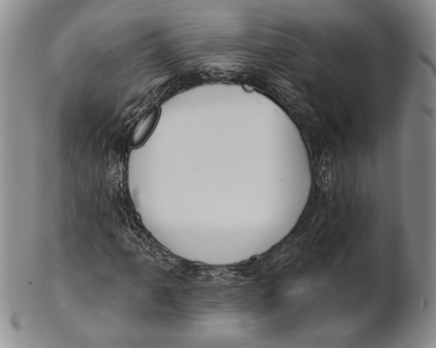 X0000100751061200807101657