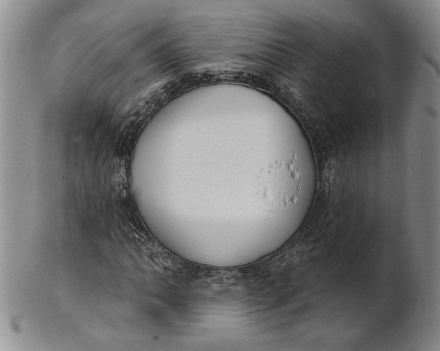 X0000100751062200807101657