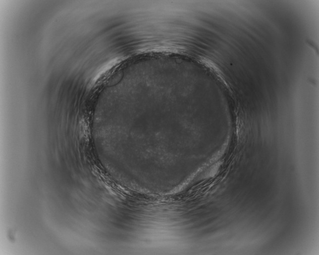 X0000100751064200807101657