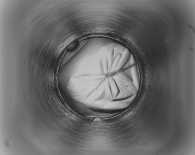 X0000100751065200807101657