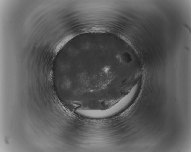 X0000100751066200807101657