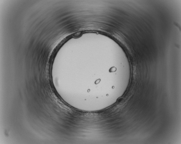 X0000100751068200807101657