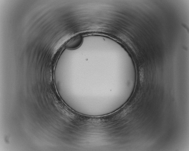 X0000100751069200807101657