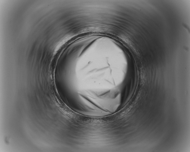 X0000100751070200807101657