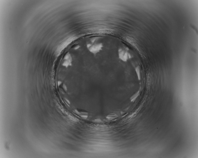 X0000100751071200807101657