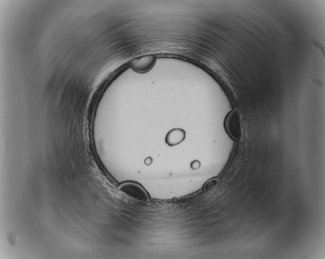 X0000100751072200807101657