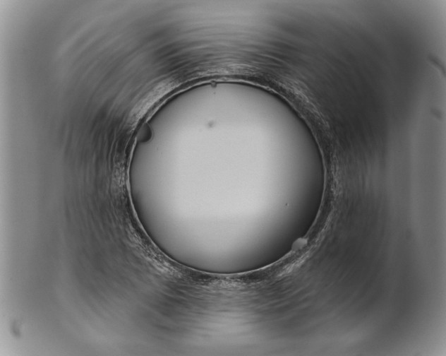 X0000100751073200807101657