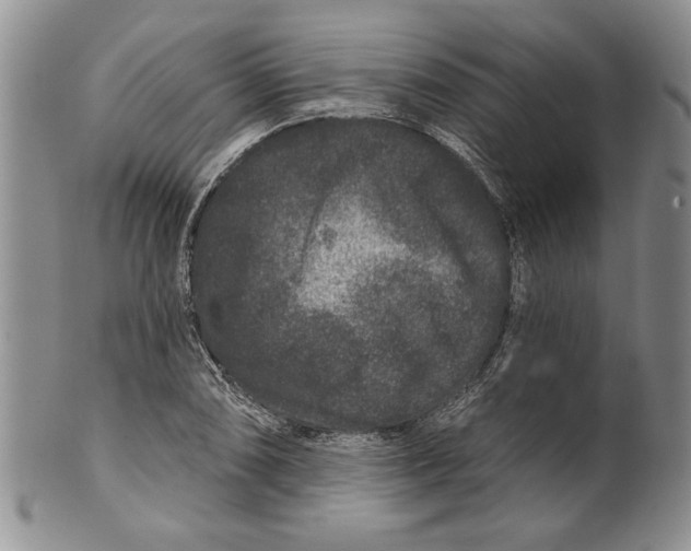 X0000100751074200807101657