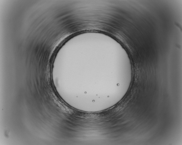 X0000100751076200807101657