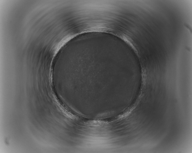 X0000100751077200807101657