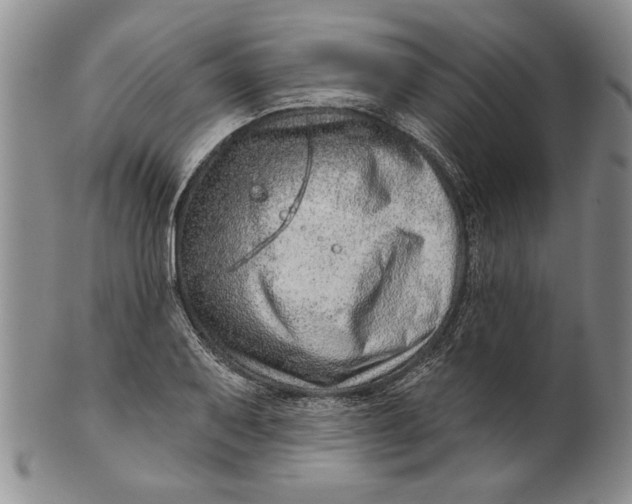 X0000100751079200807101657